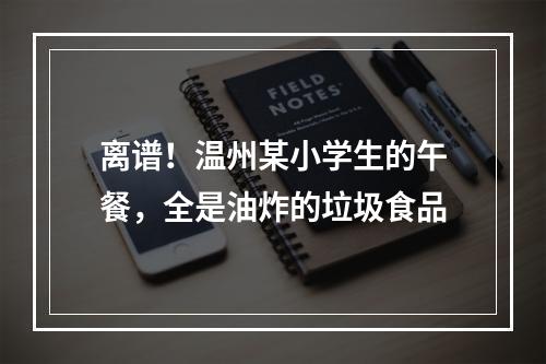 离谱！温州某小学生的午餐，全是油炸的垃圾食品