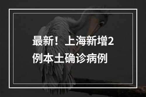 最新！上海新增2例本土确诊病例