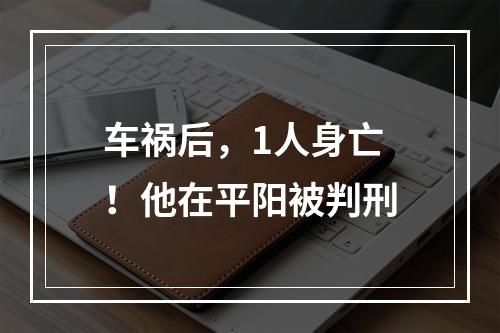 车祸后，1人身亡！他在平阳被判刑