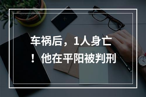 车祸后，1人身亡！他在平阳被判刑