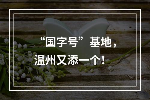 “国字号”基地，温州又添一个！