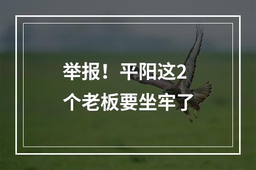 举报！平阳这2个老板要坐牢了