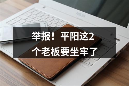 举报！平阳这2个老板要坐牢了