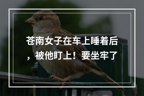 苍南女子在车上睡着后，被他盯上！要坐牢了