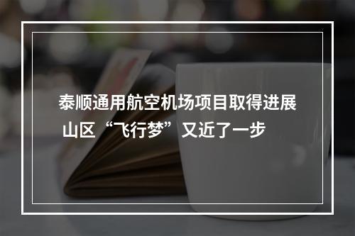 泰顺通用航空机场项目取得进展 山区“飞行梦”又近了一步