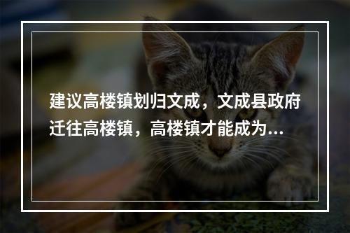 建议高楼镇划归文成，文成县政府迁往高楼镇，高楼镇才能成为小深圳。