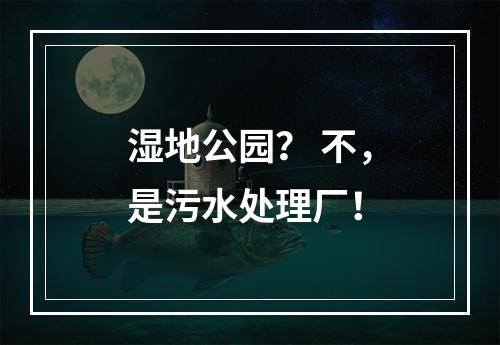 湿地公园？ 不，是污水处理厂！