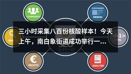 三小时采集八百份核酸样本！今天上午，南白象街道成功举行一场大规模全员核酸检测...