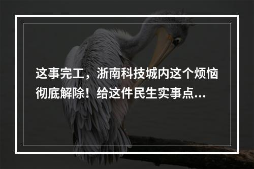 这事完工，浙南科技城内这个烦恼彻底解除！给这件民生实事点赞！