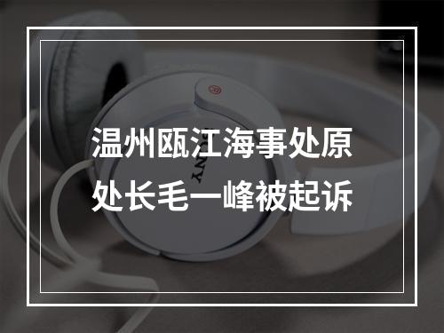 温州瓯江海事处原处长毛一峰被起诉