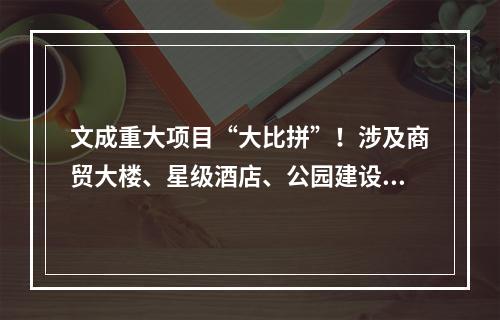 文成重大项目“大比拼”！涉及商贸大楼、星级酒店、公园建设……