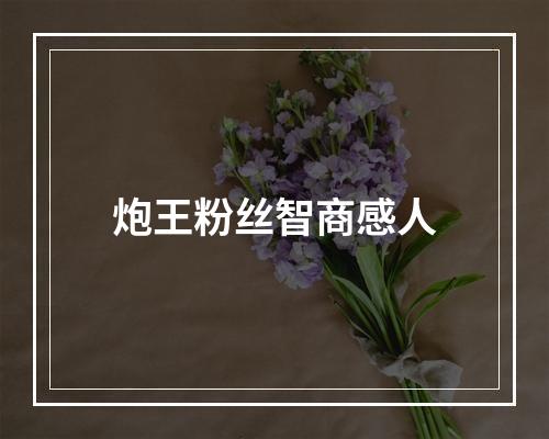 炮王粉丝智商感人