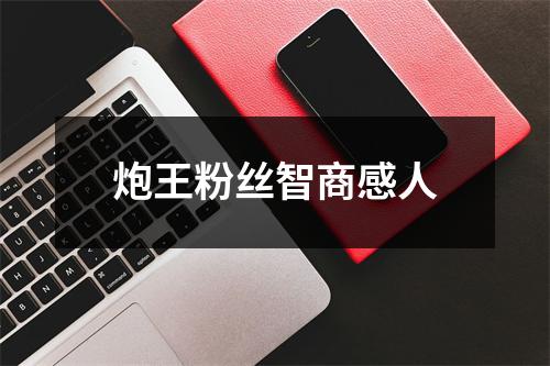 炮王粉丝智商感人