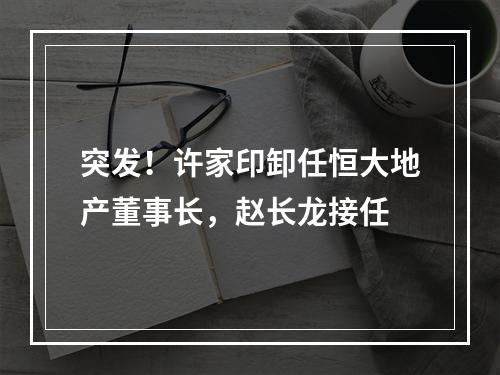 突发！许家印卸任恒大地产董事长，赵长龙接任