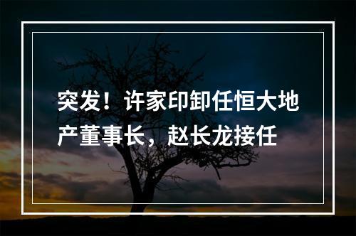 突发！许家印卸任恒大地产董事长，赵长龙接任