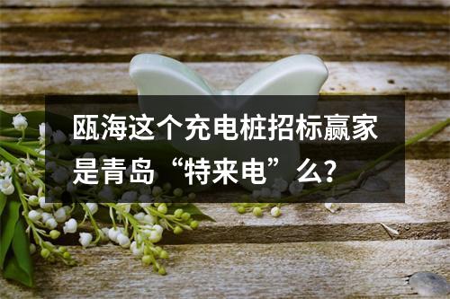 瓯海这个充电桩招标赢家是青岛“特来电”么？