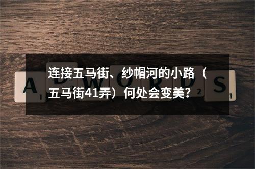 连接五马街、纱帽河的小路（五马街41弄）何处会变美？