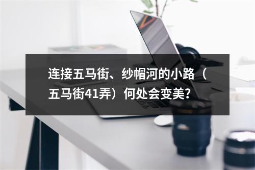 连接五马街、纱帽河的小路（五马街41弄）何处会变美？