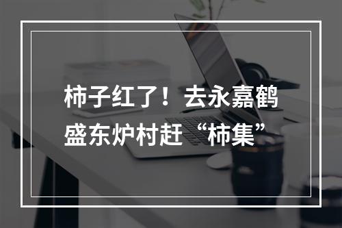 柿子红了！去永嘉鹤盛东炉村赶“柿集”