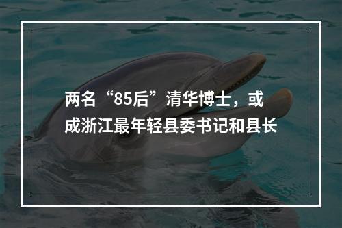 两名“85后”清华博士，或成浙江最年轻县委书记和县长
