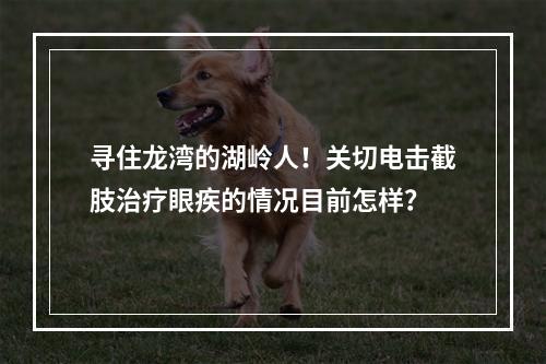 寻住龙湾的湖岭人！关切电击截肢治疗眼疾的情况目前怎样？