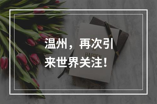 温州，再次引来世界关注！
