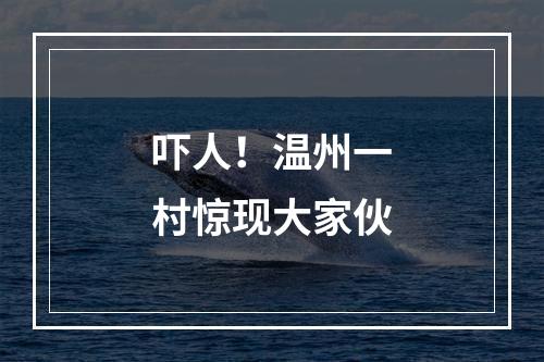 吓人！温州一村惊现大家伙