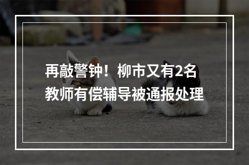 再敲警钟！柳市又有2名教师有偿辅导被通报处理