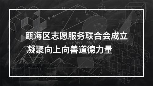 瓯海区志愿服务联合会成立 凝聚向上向善道德力量