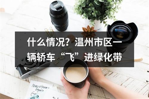 什么情况？温州市区一辆轿车“飞”进绿化带