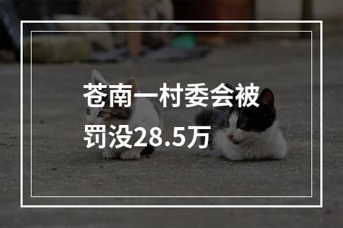 苍南一村委会被罚没28.5万