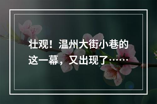 壮观！温州大街小巷的这一幕，又出现了……