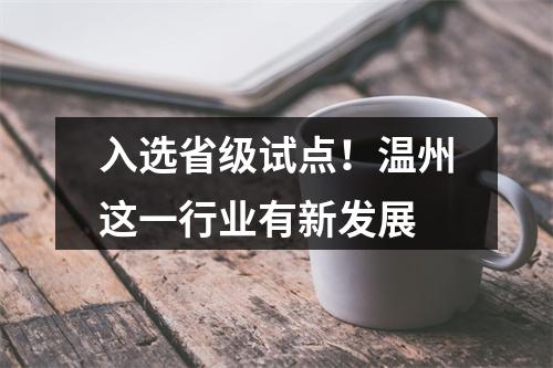 入选省级试点！温州这一行业有新发展