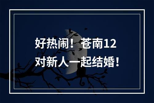 好热闹！苍南12对新人一起结婚！