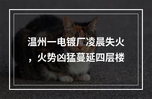 温州一电镀厂凌晨失火，火势凶猛蔓延四层楼