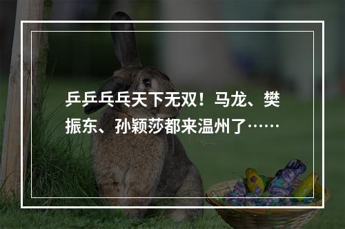 乒乒乓乓天下无双！马龙、樊振东、孙颖莎都来温州了……