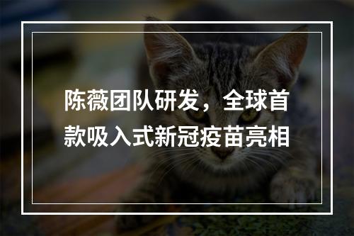陈薇团队研发，全球首款吸入式新冠疫苗亮相