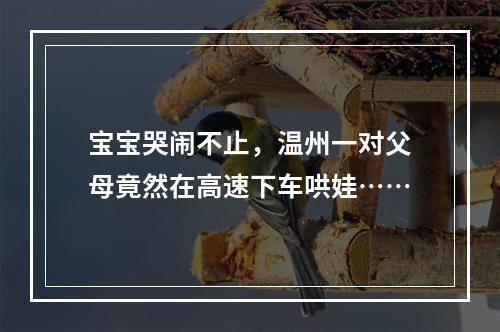 宝宝哭闹不止，温州一对父母竟然在高速下车哄娃……