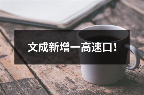 文成新增一高速口！