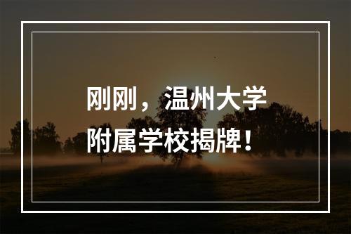 刚刚，温州大学附属学校揭牌！
