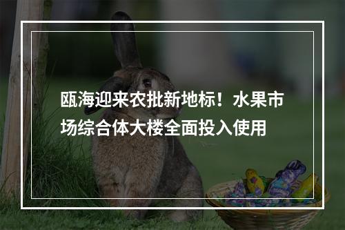瓯海迎来农批新地标！水果市场综合体大楼全面投入使用