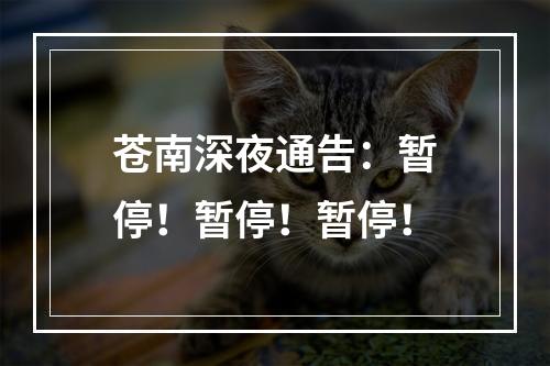 苍南深夜通告：暂停！暂停！暂停！