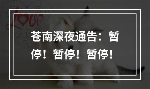 苍南深夜通告：暂停！暂停！暂停！