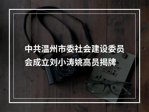 中共温州市委社会建设委员会成立刘小涛姚高员揭牌