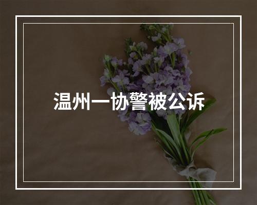 温州一协警被公诉