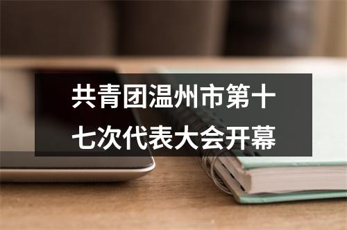 共青团温州市第十七次代表大会开幕