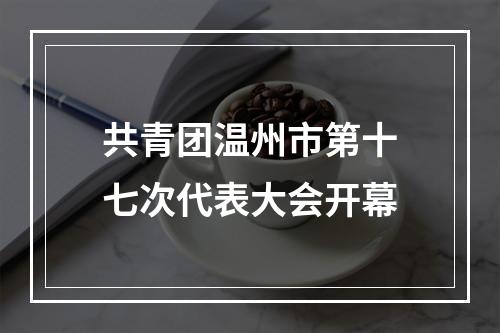共青团温州市第十七次代表大会开幕