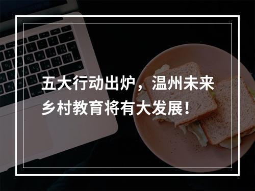 五大行动出炉，温州未来乡村教育将有大发展！