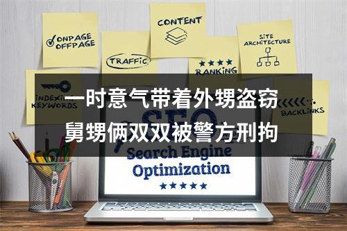 一时意气带着外甥盗窃 舅甥俩双双被警方刑拘