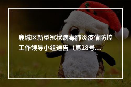 鹿城区新型冠状病毒肺炎疫情防控工作领导小组通告（第28号)